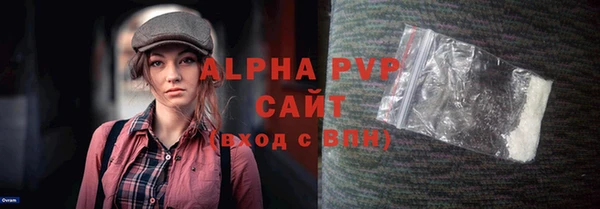 гидра Бородино
