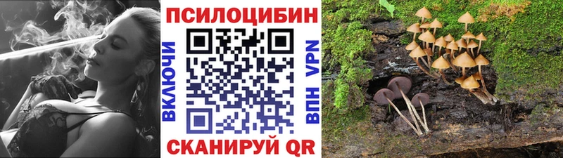 Псилоцибиновые грибы мухоморы  Купить закладки  Оленегорск 